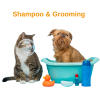 Shampoo & Grooming